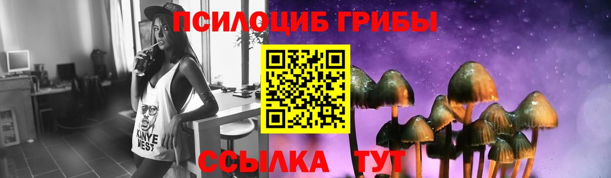 Псилоцибиновые грибы ЛСД  Вход с VPN  Галлюциногенные грибы Psilocybe  сколько стоит  Зерноград 